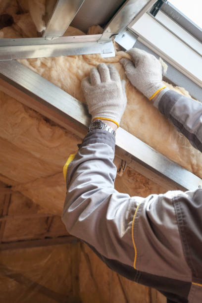 Best Soundproof Insulation  in Bristol, FL