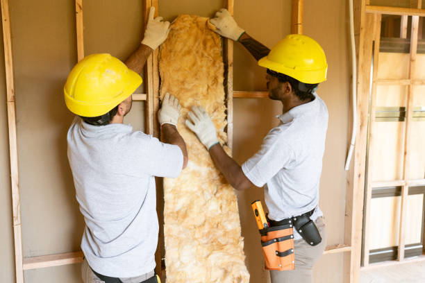 Best Blown-In Insulation  in Bristol, FL